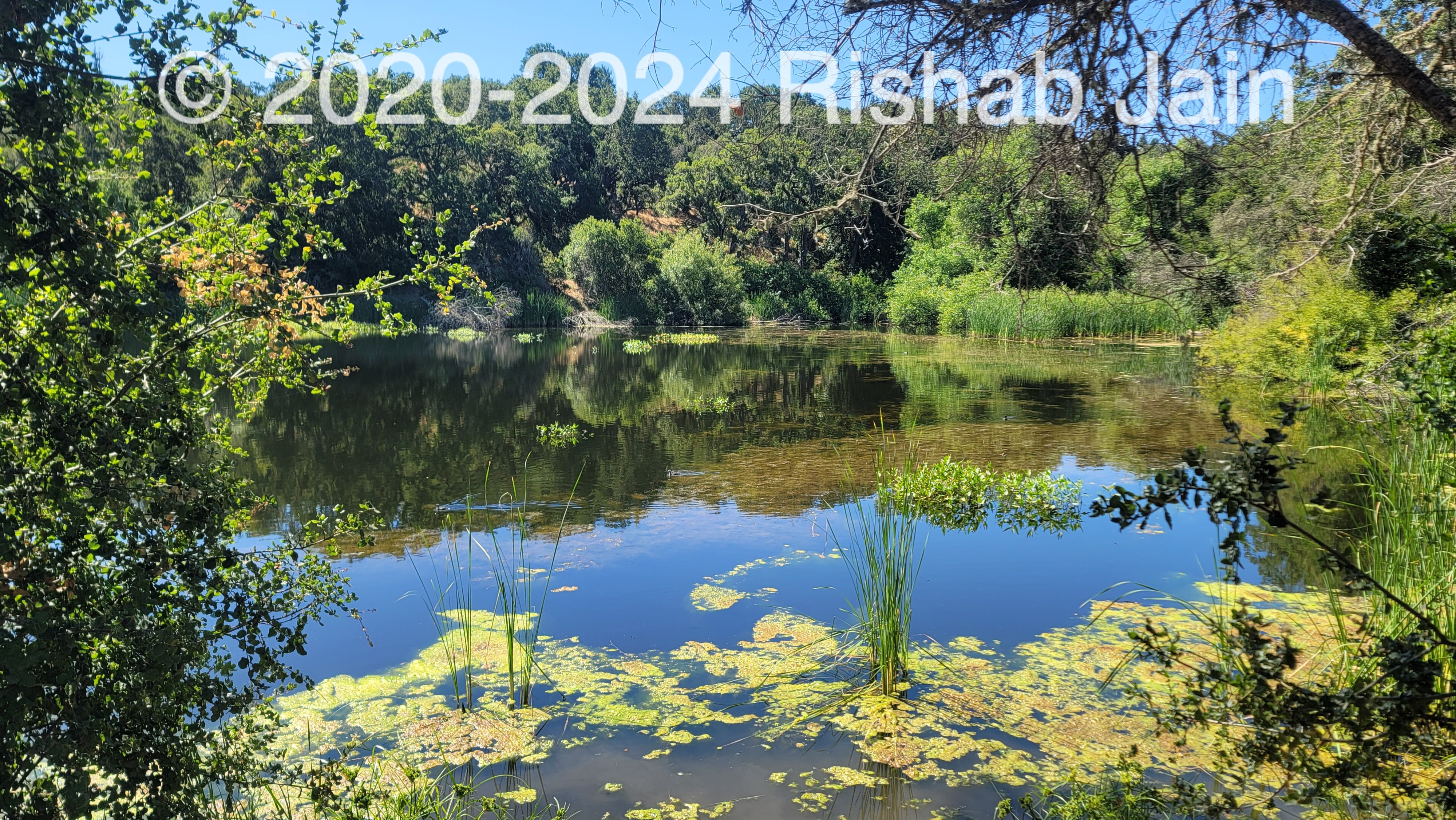 Lake View